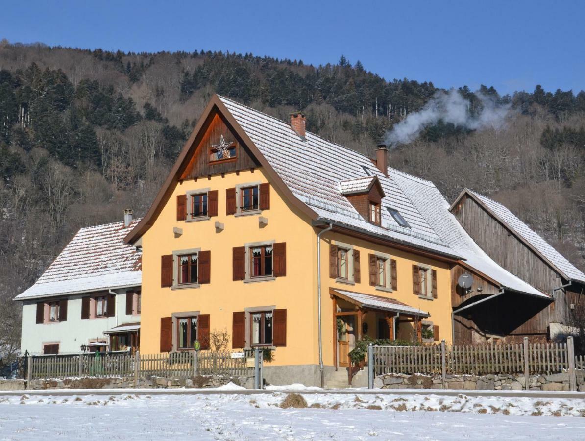 Gite Du Grand Pre Metzeral Kültér fotó